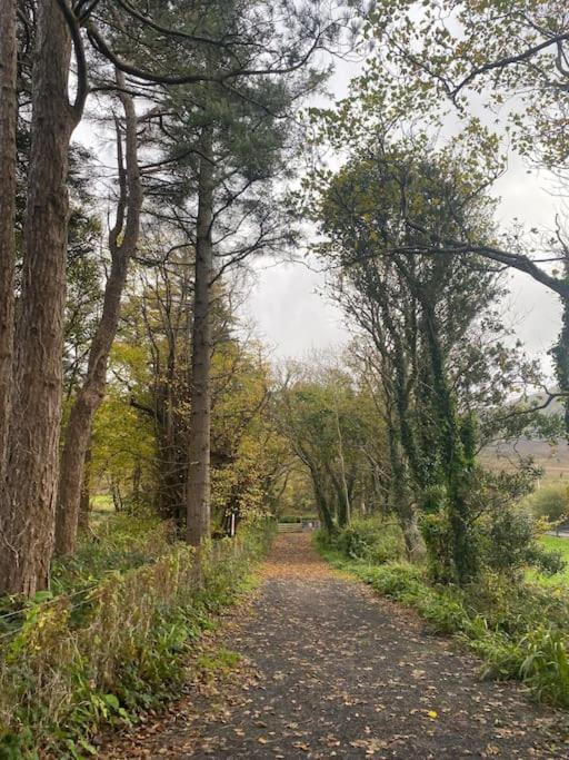 Country Cabin Mullagh  Экстерьер фото